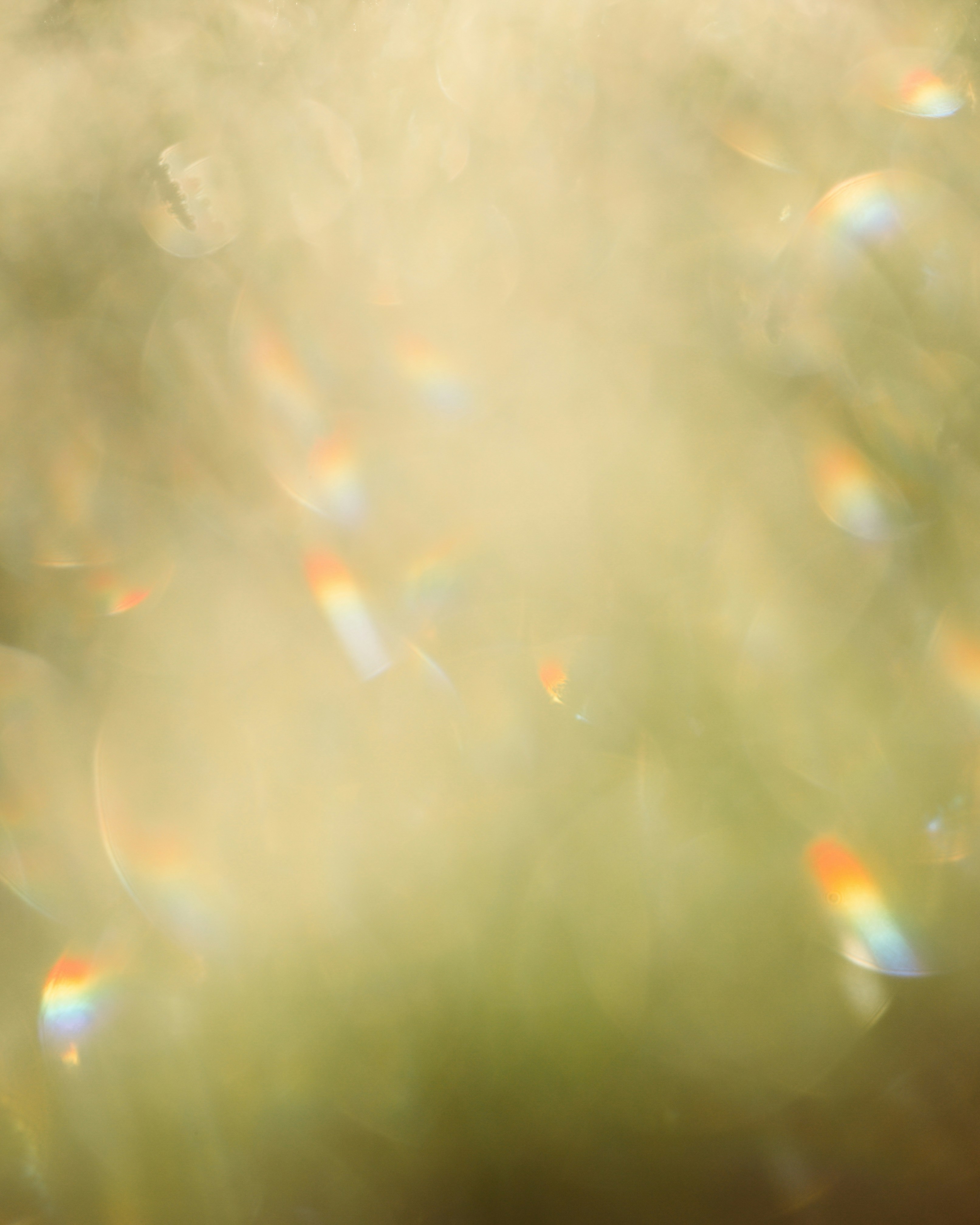 Warm golden abstract light and soft reflections