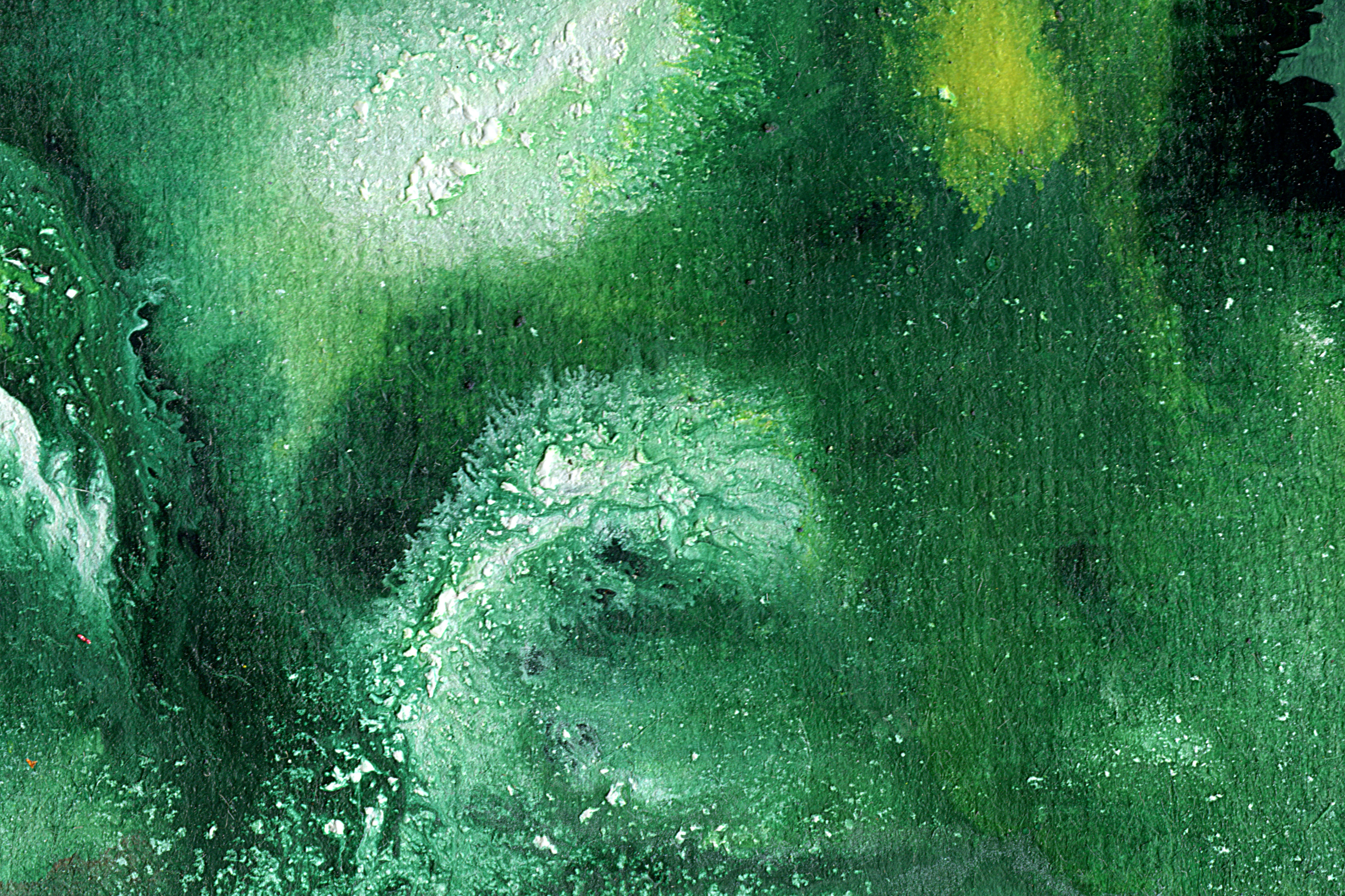 Detailed green organic texture